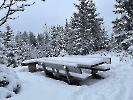 Februar 2025 - Schneeschuh Wandern am Feldberg_7