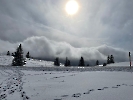 Februar 2025 - Schneeschuh Wandern am Feldberg_84