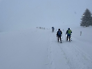 Februar 2025 - Schneeschuh Wandern am Feldberg_87