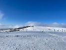 Februar 2025 - Schneeschuh Wandern am Feldberg_89
