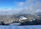 Februar 2025 - Schneeschuh Wandern am Feldberg_92
