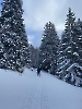 Februar 2025 - Schneeschuh Wandern am Feldberg_94