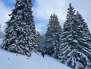 Februar 2025 - Schneeschuh Wandern am Feldberg_95