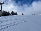 Februar 2025 - Schneeschuh Wandern am Feldberg_98