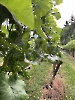 2025 Nordic Walking Saison_3