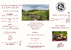 Flyer_1